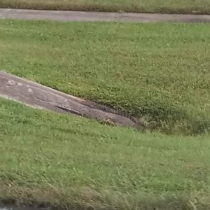 Meet your Posher, Omar